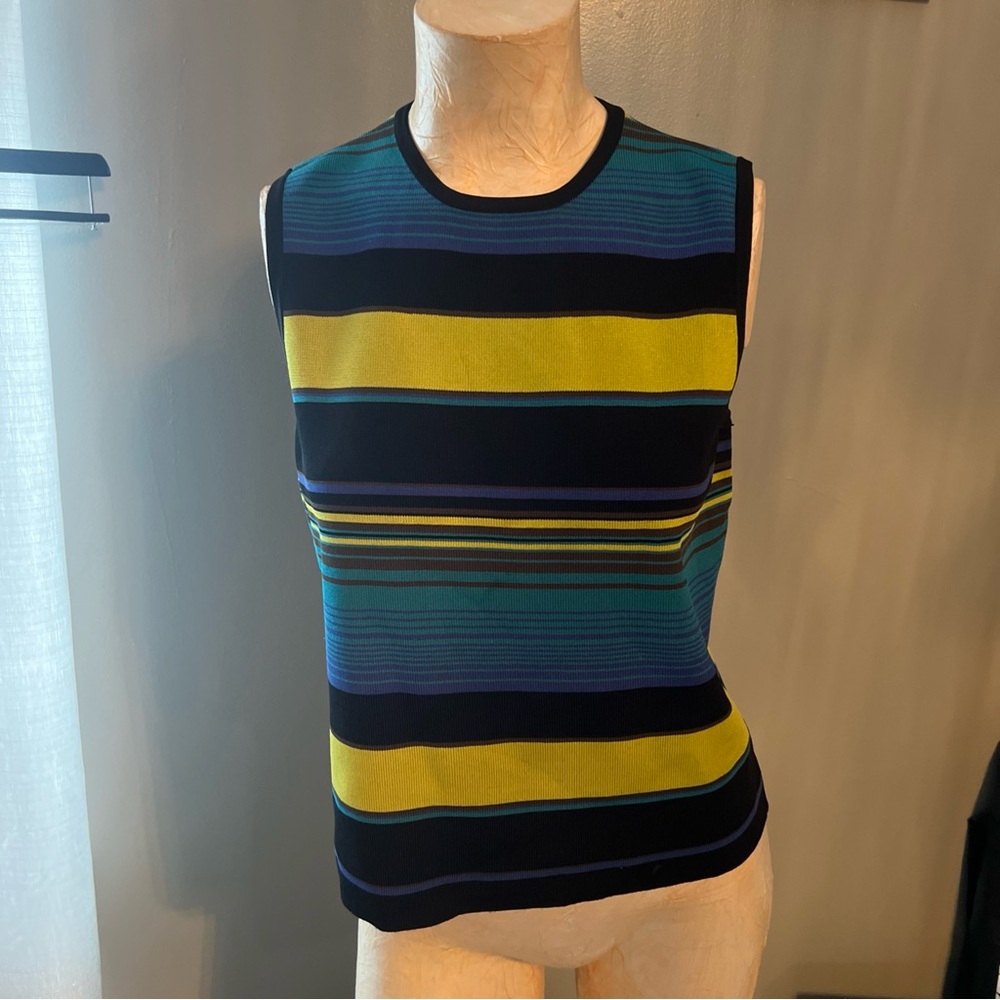 Grace Multicolor Striped Tank Top